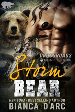 storm bear book cover image