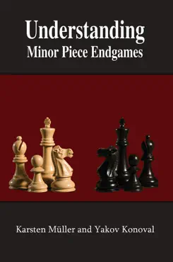 understanding minor piece endgames book cover image