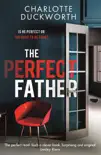 The Perfect Father sinopsis y comentarios