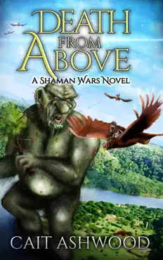 death from above book cover image