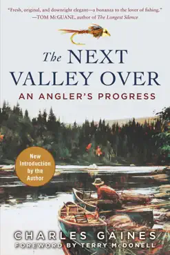 the next valley over book cover image