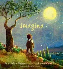 imagina book cover image