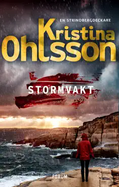 stormvakt book cover image