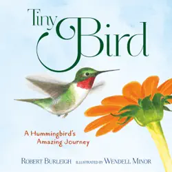 tiny bird book cover image