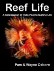 Reef Life sinopsis y comentarios