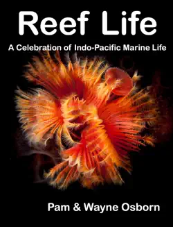 reef life imagen de la portada del libro