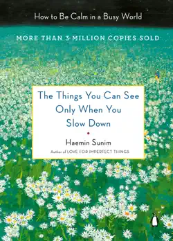 the things you can see only when you slow down book cover image