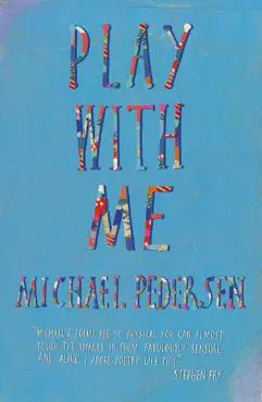 play with me book cover image