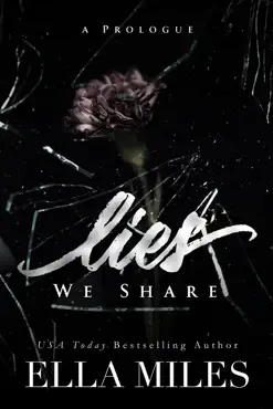 lies we share book cover image