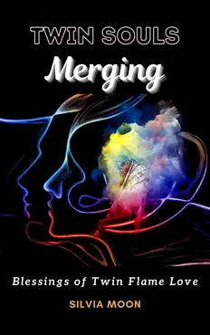 twin souls merging book cover image