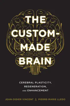 the custom-made brain book cover image