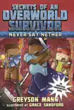 Never Say Nether synopsis, comments