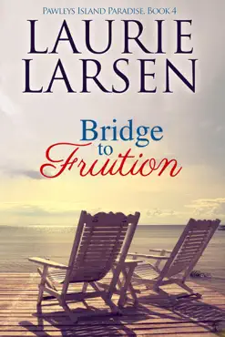 bridge to fruition book cover image