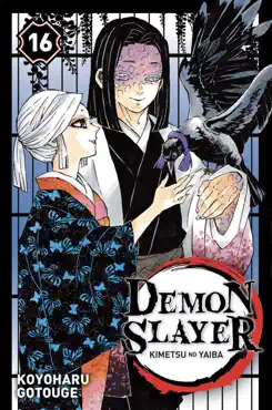 demon slayer t16 book cover image