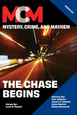 the chase begins book cover image