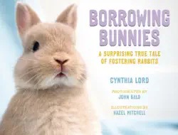 borrowing bunnies book cover image