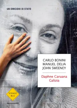 daphne caruana galizia book cover image
