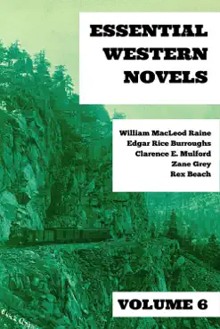 essential western novels - volume 6 book cover image