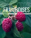 Framboises synopsis, comments