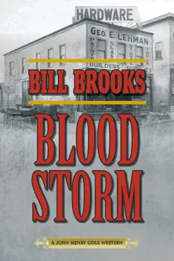blood storm imagen de la portada del libro
