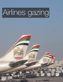 airlines gazing book cover image