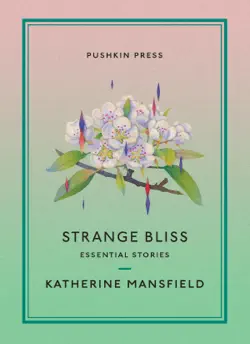 strange bliss book cover image