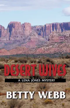 desert wives book cover image