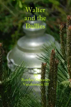 walter and the bullies book cover image