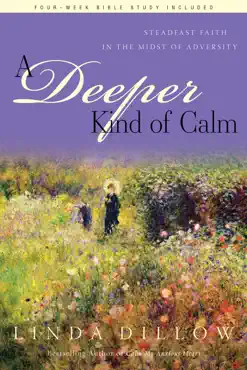 a deeper kind of calm book cover image