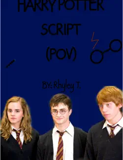harry potter pov book cover image