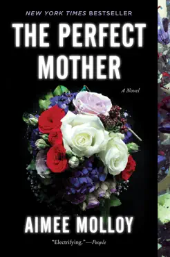 the perfect mother book cover image