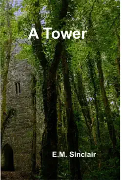 a tower book 11 circles of light book cover image
