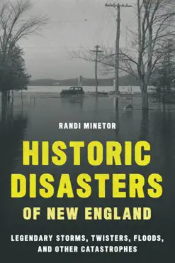 historic disasters of new england book cover image