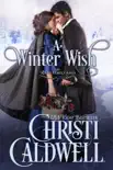A Winter Wish synopsis, comments