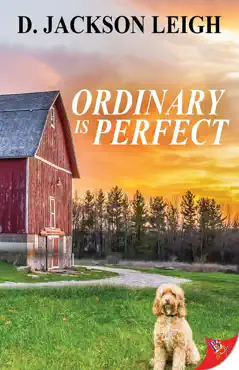 ordinary is perfect book cover image