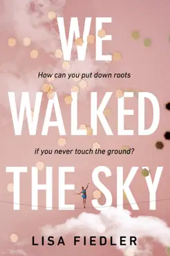 we walked the sky book cover image