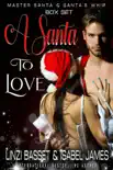 A Santa to Love synopsis, comments