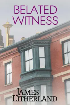belated witness book cover image