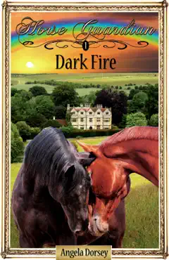 dark fire book cover image