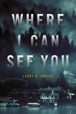 where i can see you book cover image