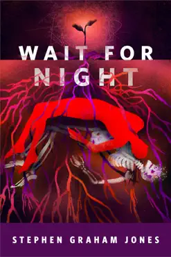 wait for night book cover image