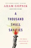 A Thousand Small Sanities synopsis, comments