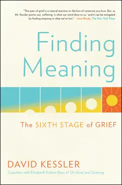 finding meaning book cover image