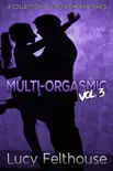 Multi-Orgasmic Vol 3: A Collection of Erotic Short Stories sinopsis y comentarios