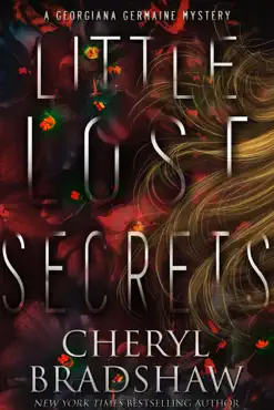 little lost secrets book cover image