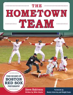 the hometown team book cover image