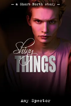 shiny things book cover image