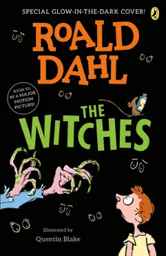the witches book cover image