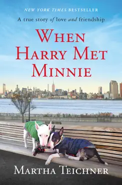 when harry met minnie book cover image