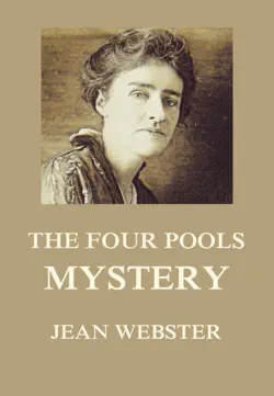 the four pools mystery book cover image